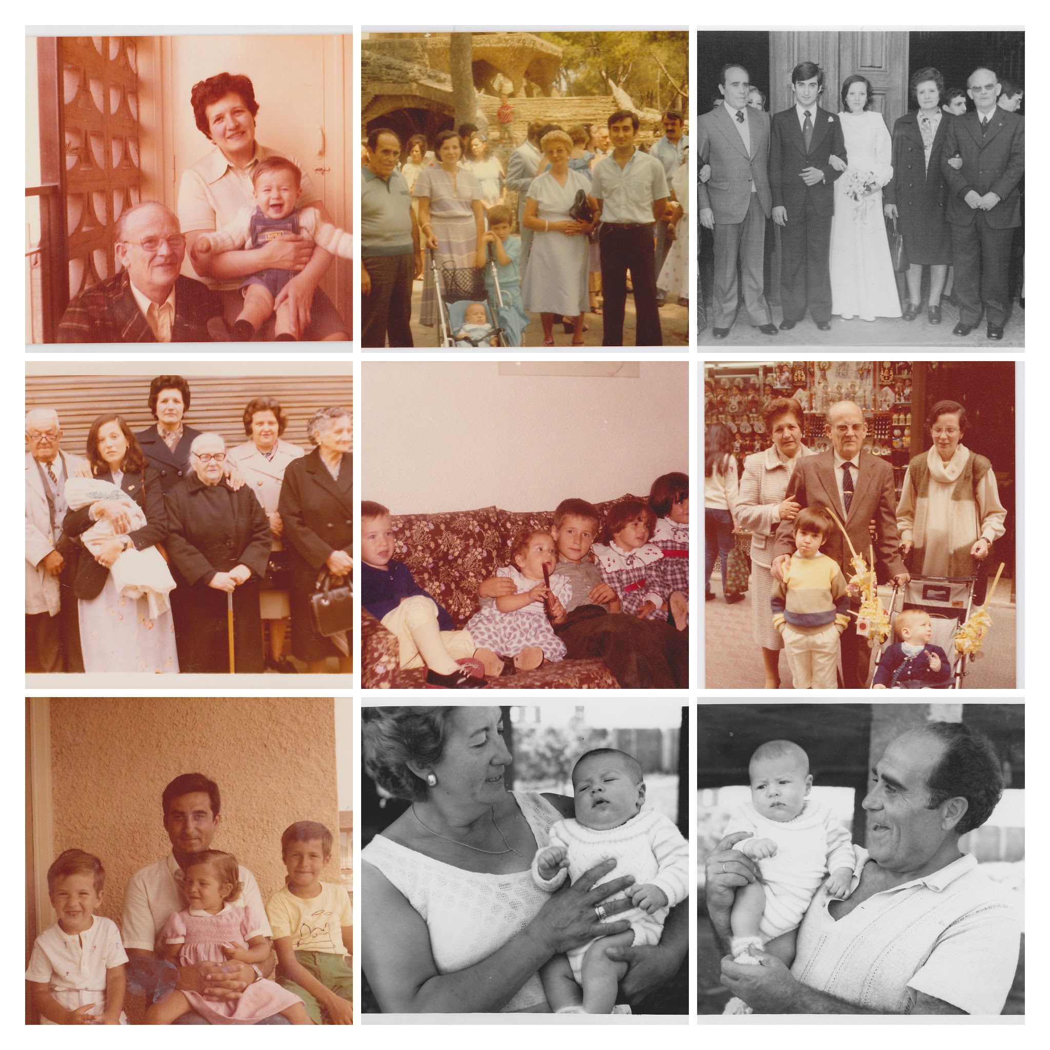 Abuelos - Hijos - Nietos
